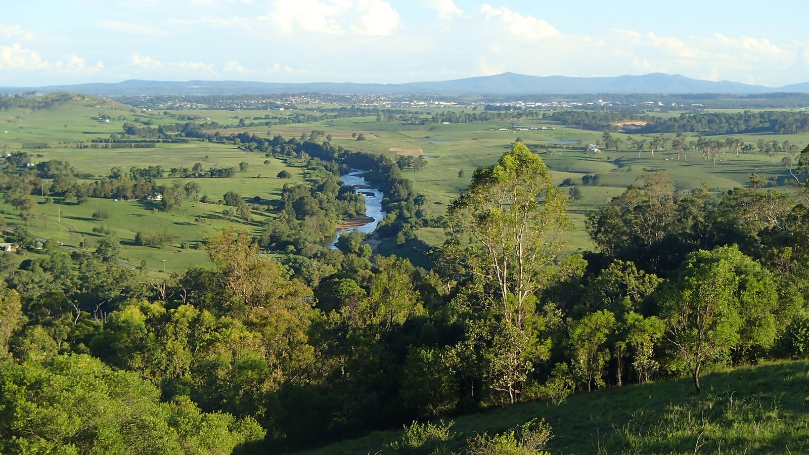 hunter valley tours from maitland